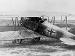 Pfalz D.XII 2670/18 captured (0575-011)